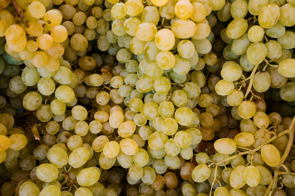 Grapes